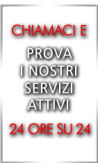 Riparazione caldaie Trezzano sul Naviglio